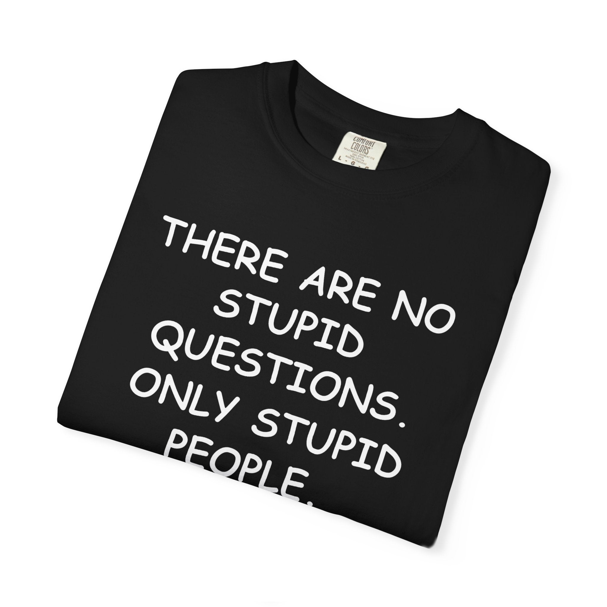 There are no Stupid Questions (Comic Sans)