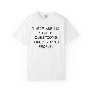 There are no Stupid Questions (Comic Sans)